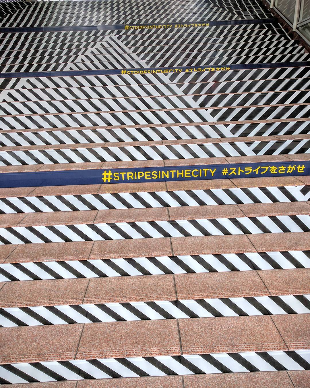 15876305_843694505773055_8114282129497522176_n