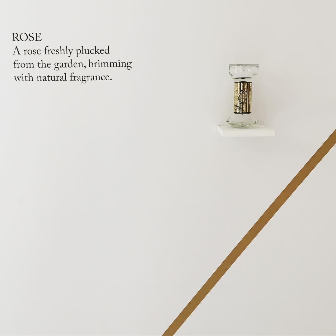 16123532_1068071536654926_8148621234842632192_n